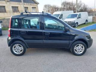 FIAT Panda usata 4