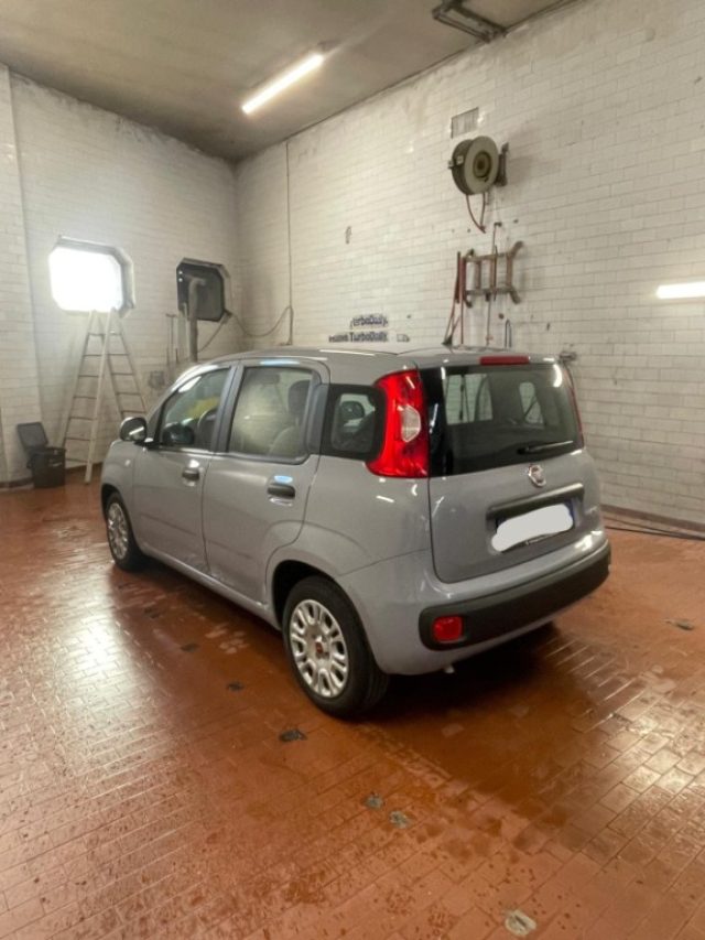 FIAT Panda usata, con Luce d