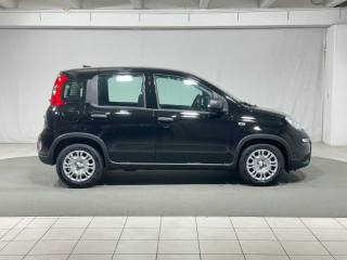 FIAT Panda usata, con Climatizzatore