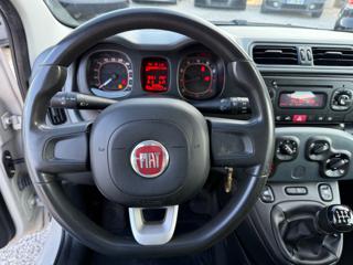 FIAT Panda usata, con Controllo trazione