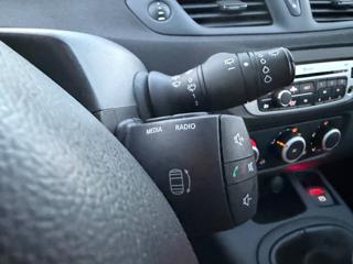 RENAULT Scenic usata 31