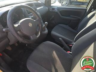 FIAT Panda usata 10