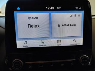 FORD EcoSport usata, con Controllo vocale