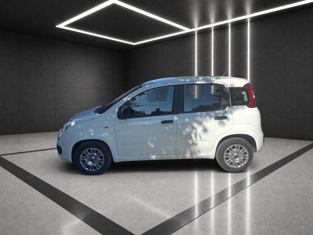 FIAT Panda usata, con Climatizzatore