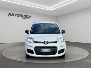 FIAT Panda usata, con Airbag