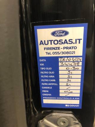 FORD Tourneo Custom usata 22