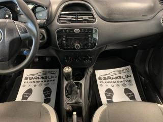 FIAT Punto usata, con Cronologia tagliandi