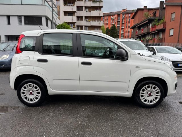 FIAT Panda usata, con Airbag Passeggero