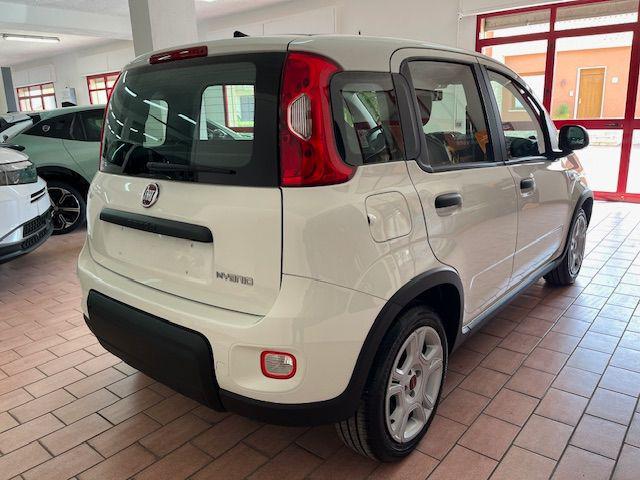 FIAT Panda usata, con Airbag Passeggero