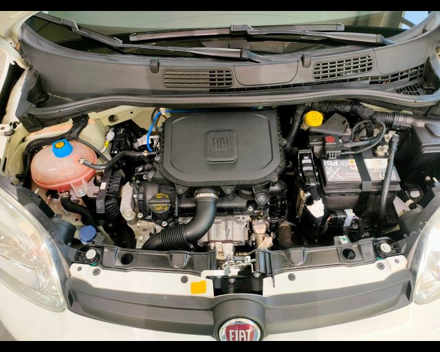 FIAT New Panda usata 18