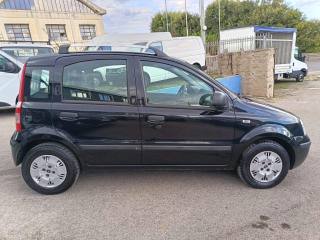 FIAT Panda usata 4