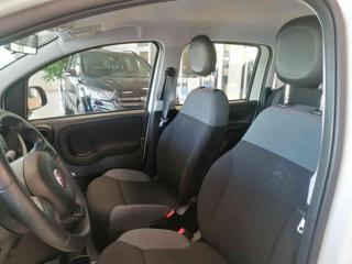 FIAT Panda usata 38