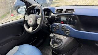 FIAT Panda usata 5