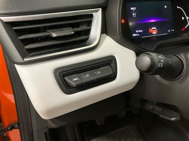 RENAULT Clio usata 29