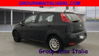FIAT Punto usata, con Airbag Passeggero