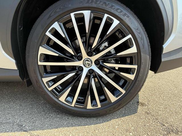 LEXUS RZ Full Electric usata, con Park Distance Control