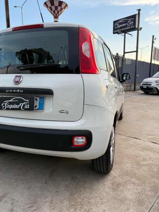 FIAT Panda usata, con Climatizzatore