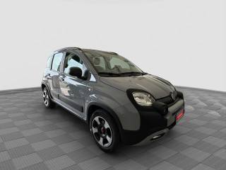 FIAT Panda usata 6