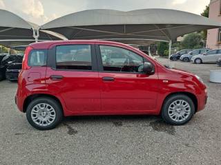 FIAT Panda usata, con Chiusura centralizzata