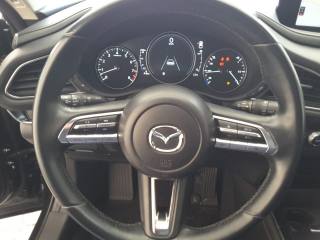 MAZDA CX-30 usata, con Boardcomputer