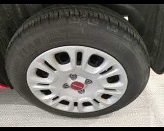 FIAT New Panda usata 17