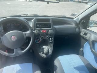 FIAT Panda usata, con Fendinebbia