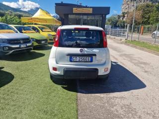 FIAT Panda usata, con Alzacristalli elettrici