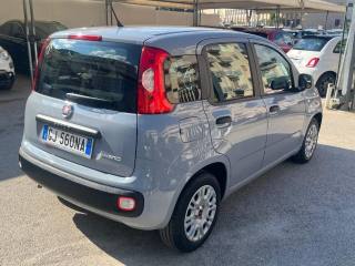 FIAT Panda usata 16