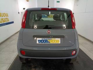 FIAT Panda usata, con Airbag testa