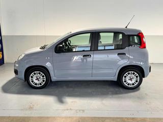 FIAT Panda usata, con Climatizzatore