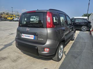 FIAT Panda usata, con Antifurto