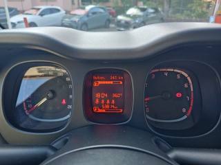 FIAT Panda usata, con Vetri oscurati