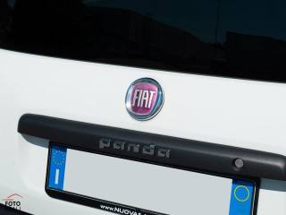 FIAT Panda usata, con MP3