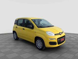FIAT Panda usata 7
