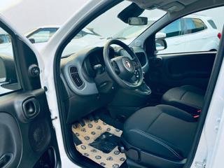FIAT Pandina usata, con Climatizzatore