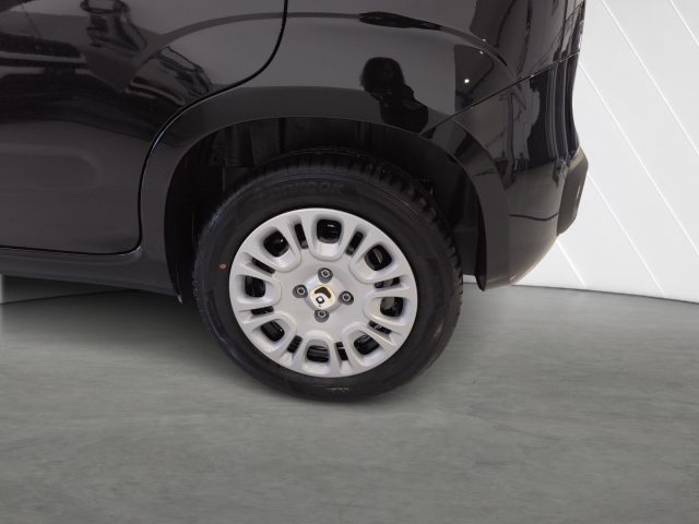 FIAT New Panda usata, con Bracciolo