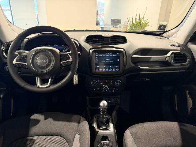 JEEP Renegade usata, con Cruise Control