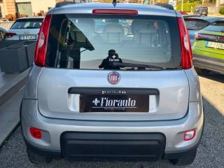 FIAT Panda usata, con Alzacristalli elettrici