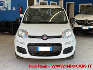 FIAT Panda usata 14