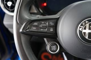 ALFA ROMEO Tonale usata 36