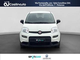 FIAT Panda usata, con Cerchi in lega