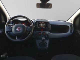 FIAT Panda Cross usata 17