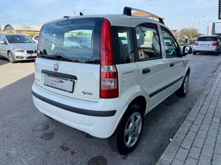 FIAT Panda usata 6