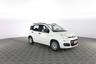 FIAT Panda usata 1