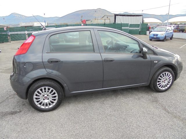 FIAT Punto usata 13