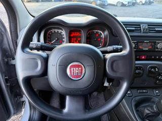 FIAT Panda usata, con Airbag Passeggero