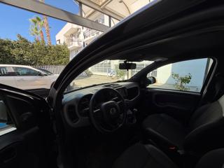 FIAT Panda usata 39