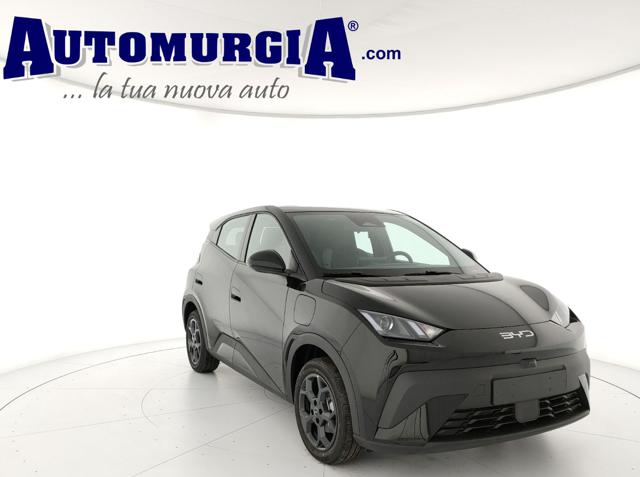 BYD Dolphin Surf usata, con ABS