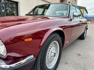 JAGUAR Sovereign usata 26