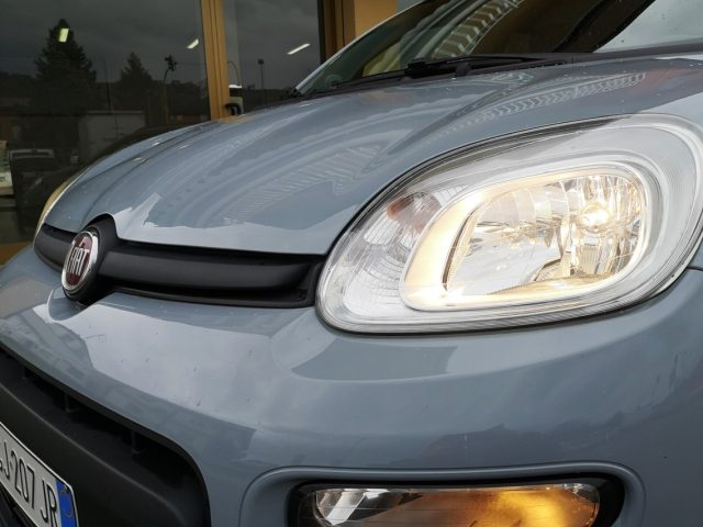 FIAT Panda usata 20
